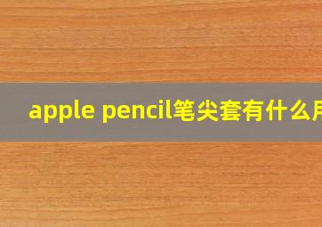 apple pencil笔尖套有什么用